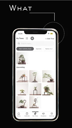 Mirai Mobile डाउनलोड करें – बेहतरीन बोन्साई गाइड और टिप्स - Screenshot 15