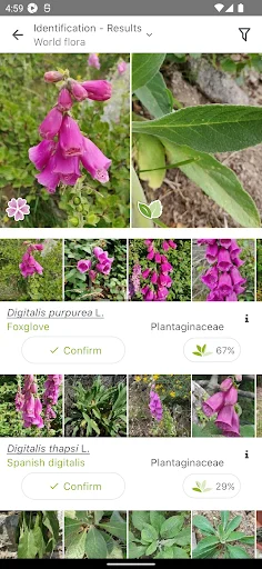 PlantNet Plant Identification डाउनलोड करें – पौधों की सटीक पहचान - Screenshot 2